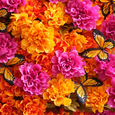 Flowers in bright orange and pink colors