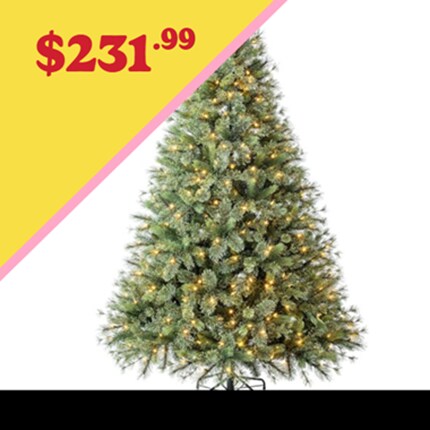 A Christmas tree with lights