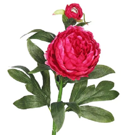 MIK-Tile-Spring Floral-Pink Peony2.png