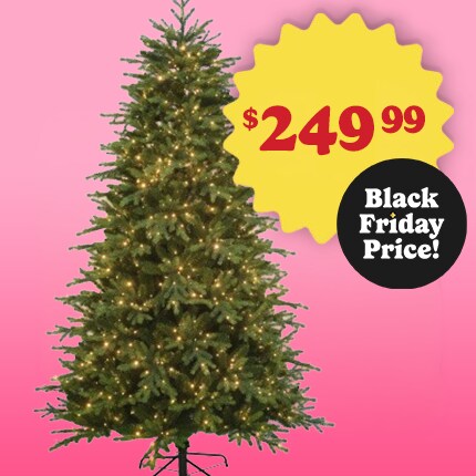 7.5ft. Pre-Lit Charlotte Spruce by Ashland $249.99 at Black Friday Pricing