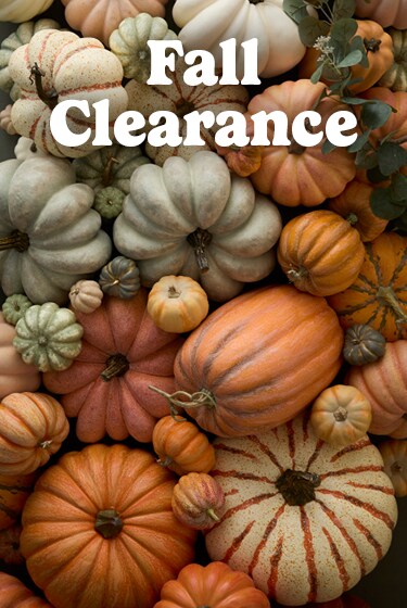 Fall Clearance in white text over red, brown and orange leaves