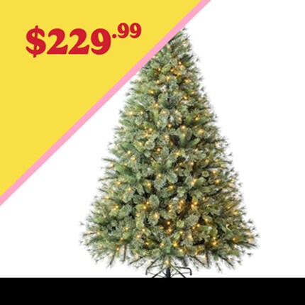 A Christmas tree with lights