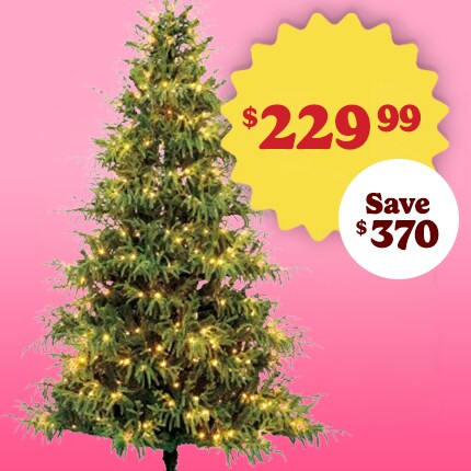 7.5ft. Pre-Lit Norfolk Pine Artificial Christmas Tree $229.99 save $370