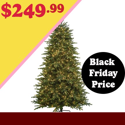 7.5ft. Pre-Lit Charlotte Spruce by Ashland $249.99 at Black Friday Pricing