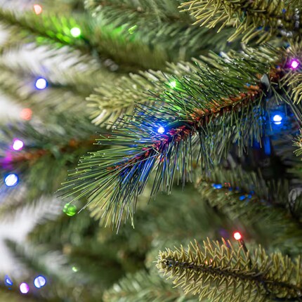 Close up of a Christmas Tree with lights 