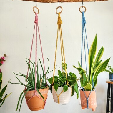 macrame hanger