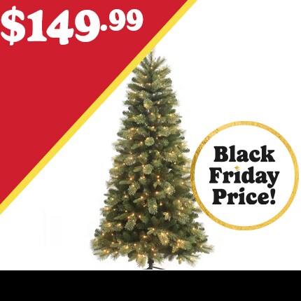 A Christmas Tree with lights