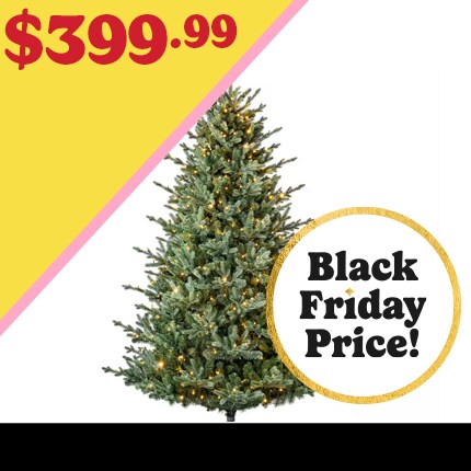 7.5ft. Pre-Lit Collins Fir Tree by Ashland $399.99 at Black Friday Pricing