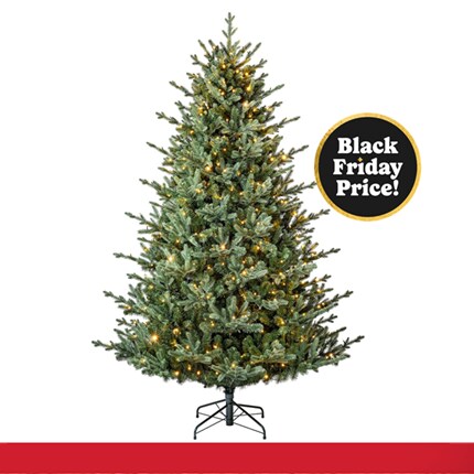 A Christmas tree with lights