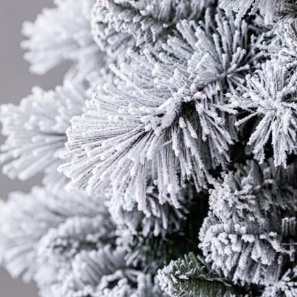 A close up of a flocked tree