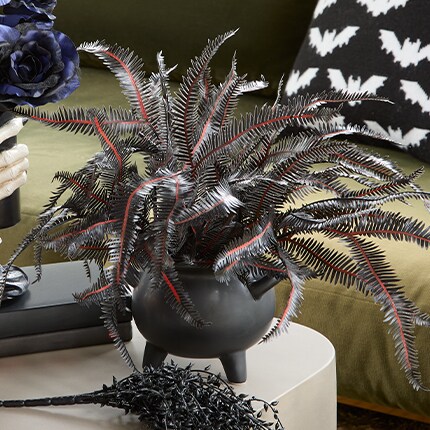 Black and red bushes in a black pot over a coffee table.