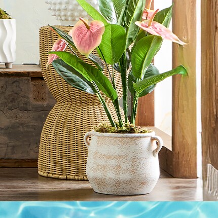 Floor plant in white basket