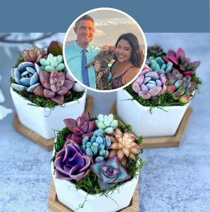 Surfside Succulents Seller