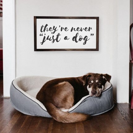 Gifts for Pet