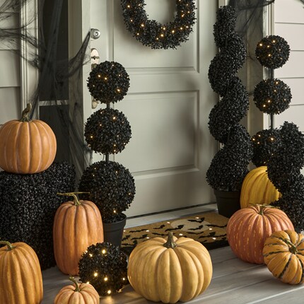 Porch decorated with various pumpkins and black topiary plants adorned with small orange light.