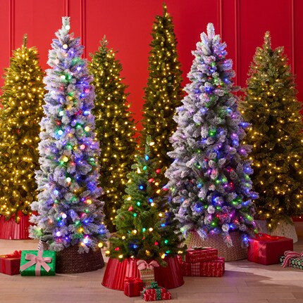 four lit Christmas trees in front of green wall