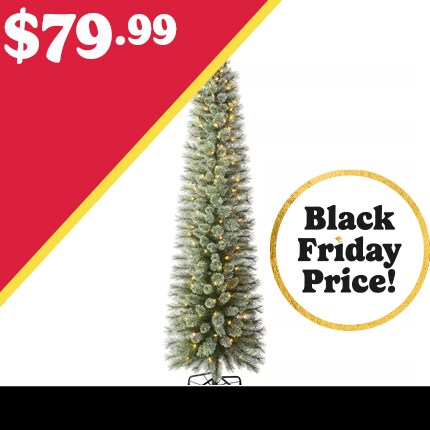 A Christmas tree with lights