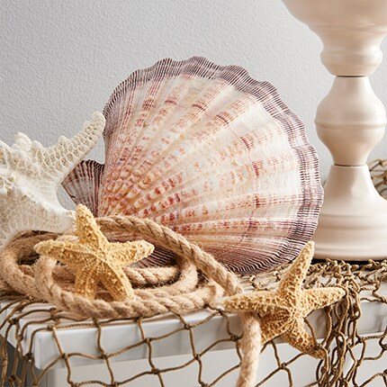 shell