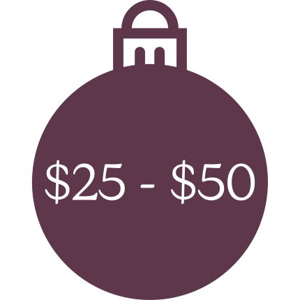 MakerPlace by Michaels A dark plum shopping bag icon displays “$25–$50” in white, indicating a mid-range price category; clean, simple design conveys a straightforward offer.