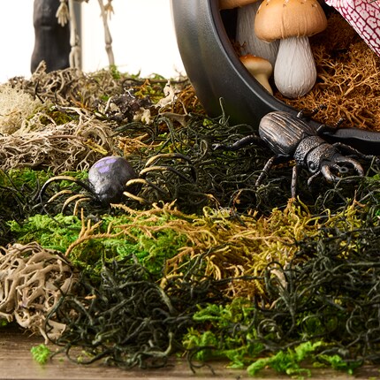 Moss