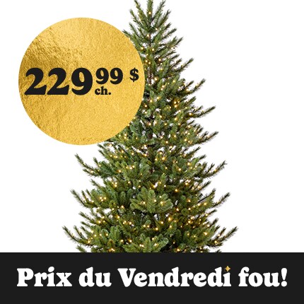 A Christmas Tree with lights