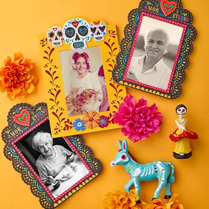 Day of the Dead Frames