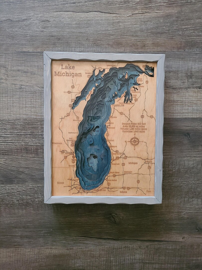 tree_to_home_lake_michigan.jpg