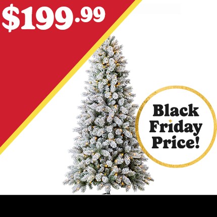 A Christmas Tree with lights