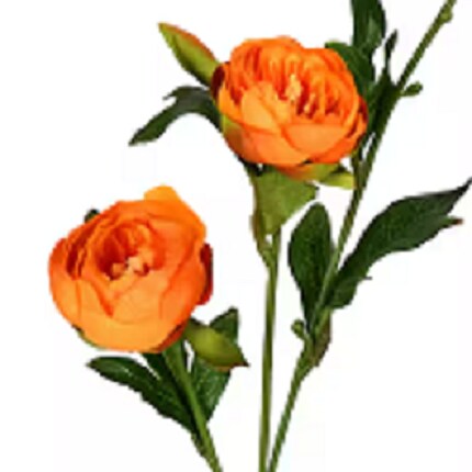 MIK-Tile-Spring Floral-Orange Peony.png