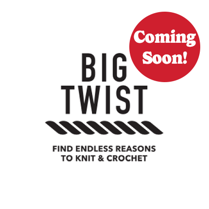 big twist logo in black text