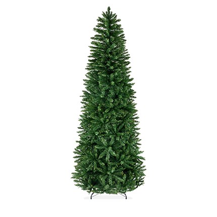 extra large Christmas tree