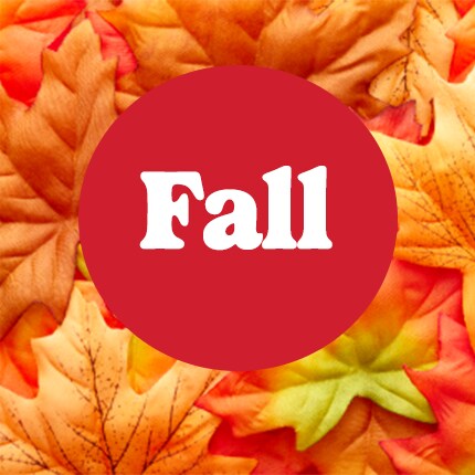 fall in white text in red bubble over orange leaves